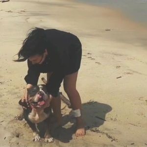 Meet your Posher, Ning